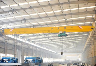Metallurgical Electric Overhead Crane